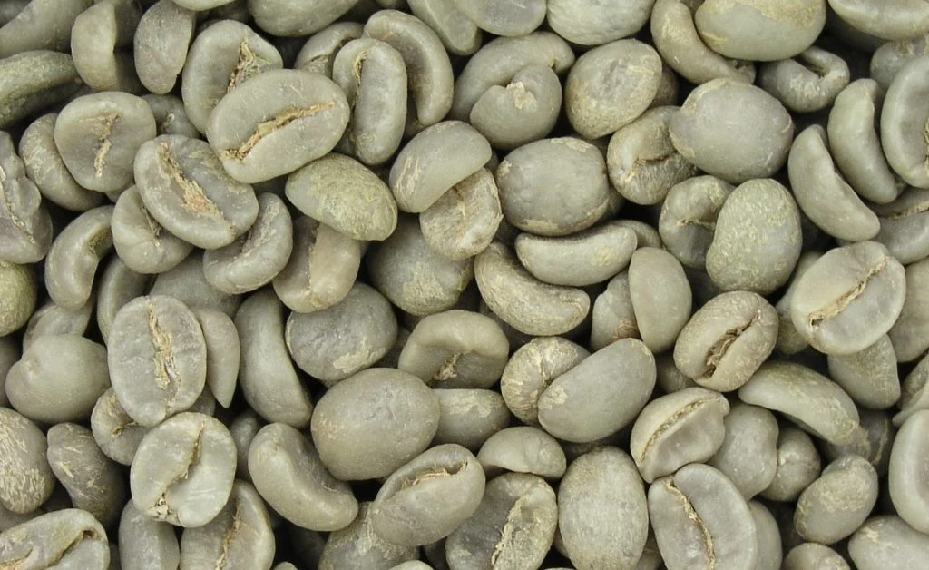 Zelena kava – najlakše rješenje za kilograme?