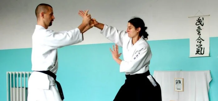 Kad akademska slikarica postane aikido instruktorica