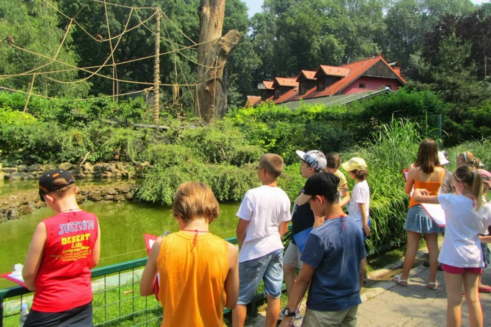 Počeli upisi u Divlje ljeto – uzbudljiv spoj prirodoslovlja i tehnologije