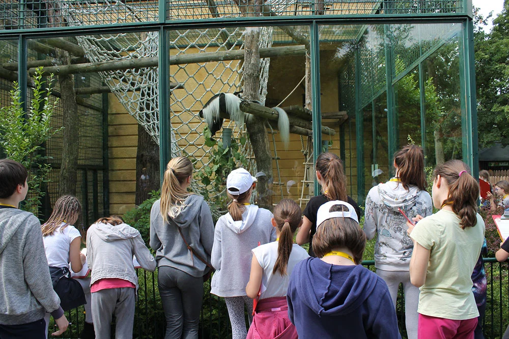 Ljeto uz divlje životinje u zagrebačkom ZOO-u