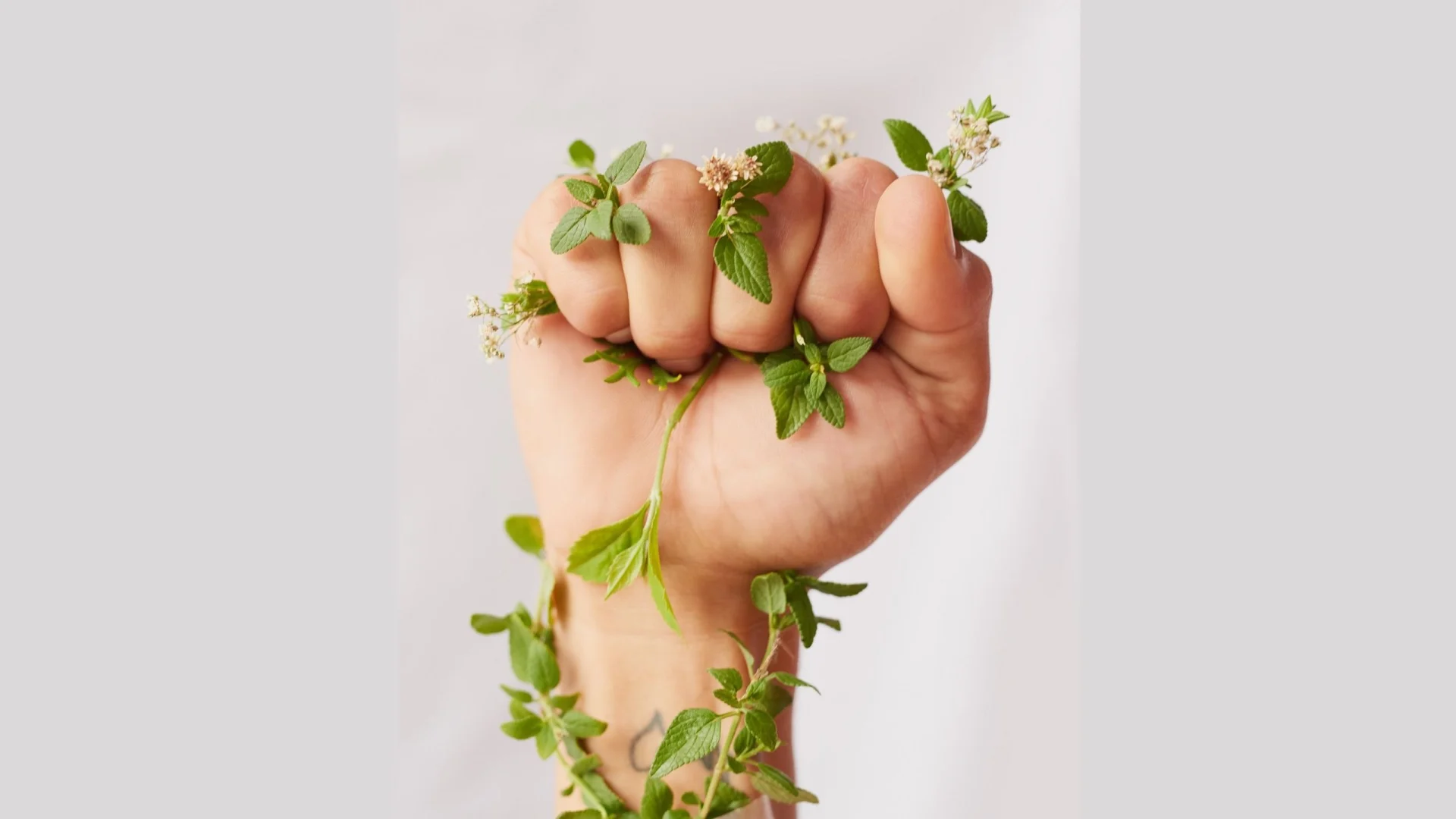 L’Oréal for the future: Projekt podrške ugroženim ženama i zaštiti okoliša