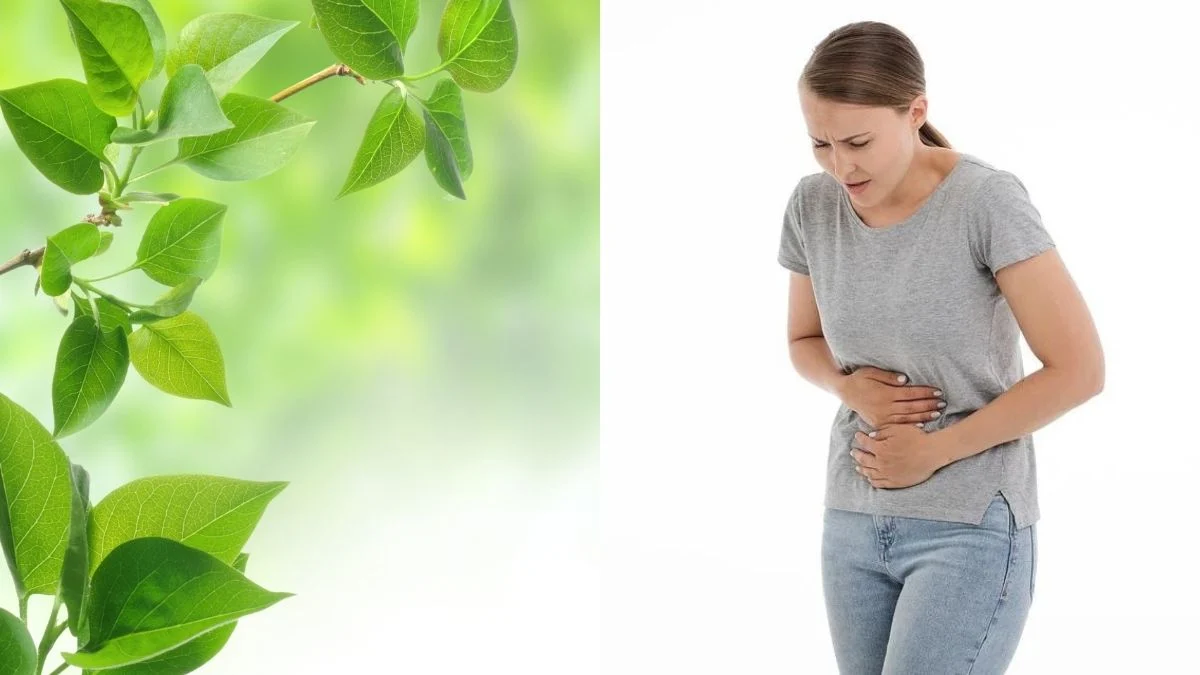 3 ključna pitanja koja morate pitati kad kupujete probiotik!