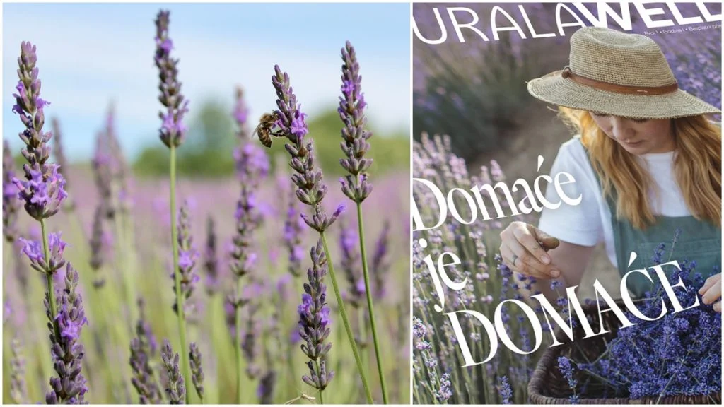 Birajmo domaće – ne samo hranu već i kozmetiku i dodatke prehrani! Najbolje od njih predstavlja projekt Naturala Well: Domaće je domaće