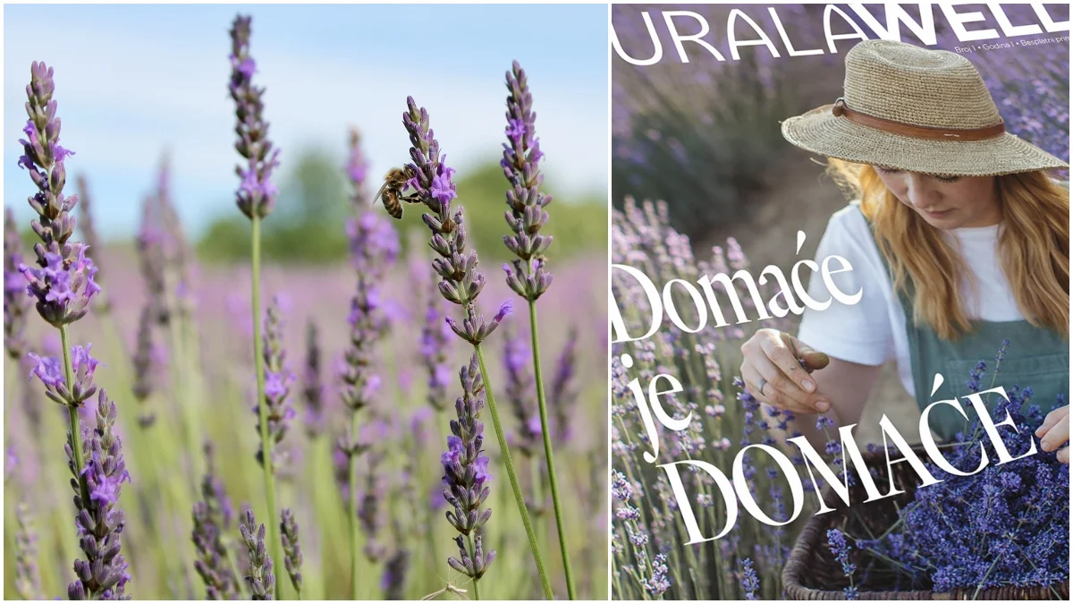 Birajmo domaće – ne samo hranu već i kozmetiku i dodatke prehrani! Najbolje od njih predstavlja projekt Naturala Well: Domaće je domaće