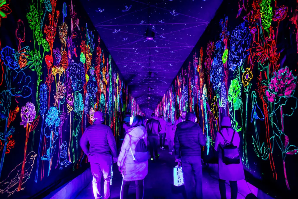 Upoznajte važne i inspirativne žene koje su pisale žensku povijest u Hrvatskoj kroz njihove rasvijetljene osobne priče – Festival svjetla