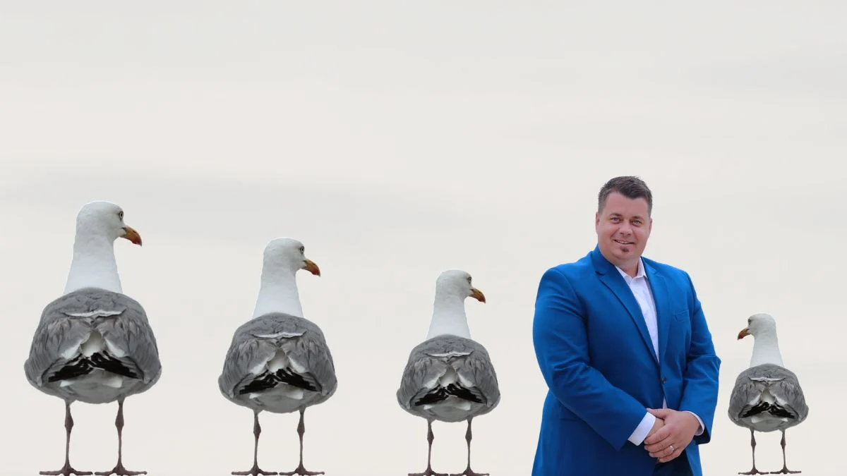 “Prije nek’ umre selo nego običaji” – na Murteru muškarci biraju ‘najvećeg galeba’, titulu odnio Toni Turčinov