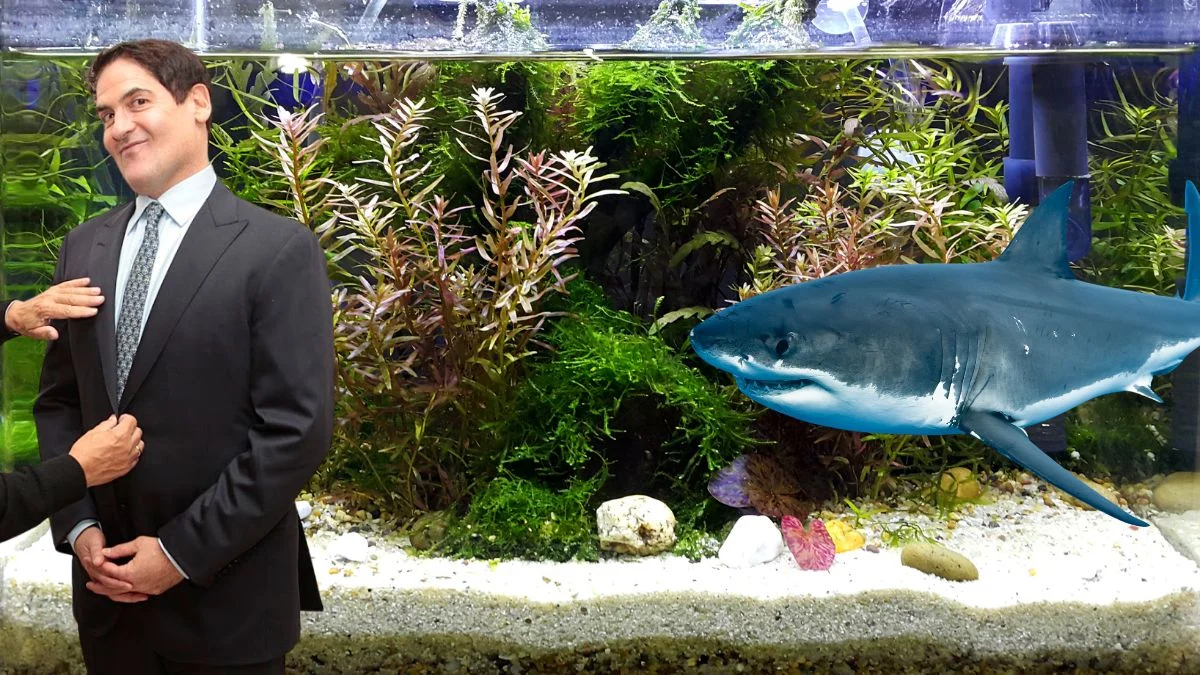 ‘Da mi je biti morski pas’ – Sudac Shark Tanka daje 6 savjeta koje svaki poduzetnik treba