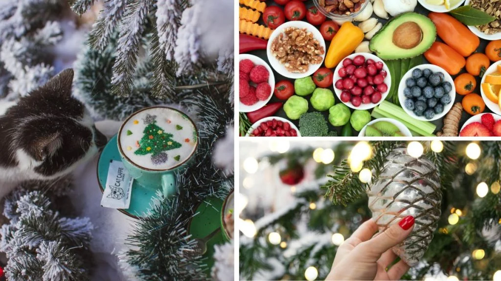 Kamo za vikend? Na advent uz more, na druženje s macama ili na edukativne sajmove?