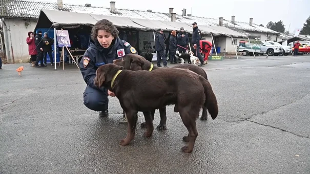 Četiri od sedam vodiča potražnih pasa u Turskoj bile su žene