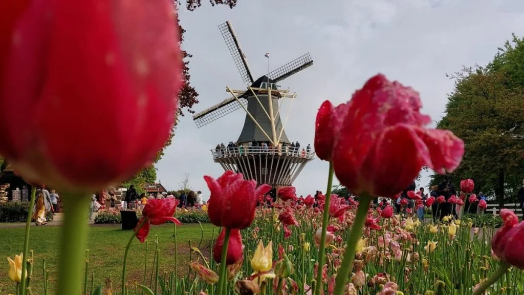 Posjetile smo Keukenhof, jedan od najvećih cvjetnih vrtova na svijetu