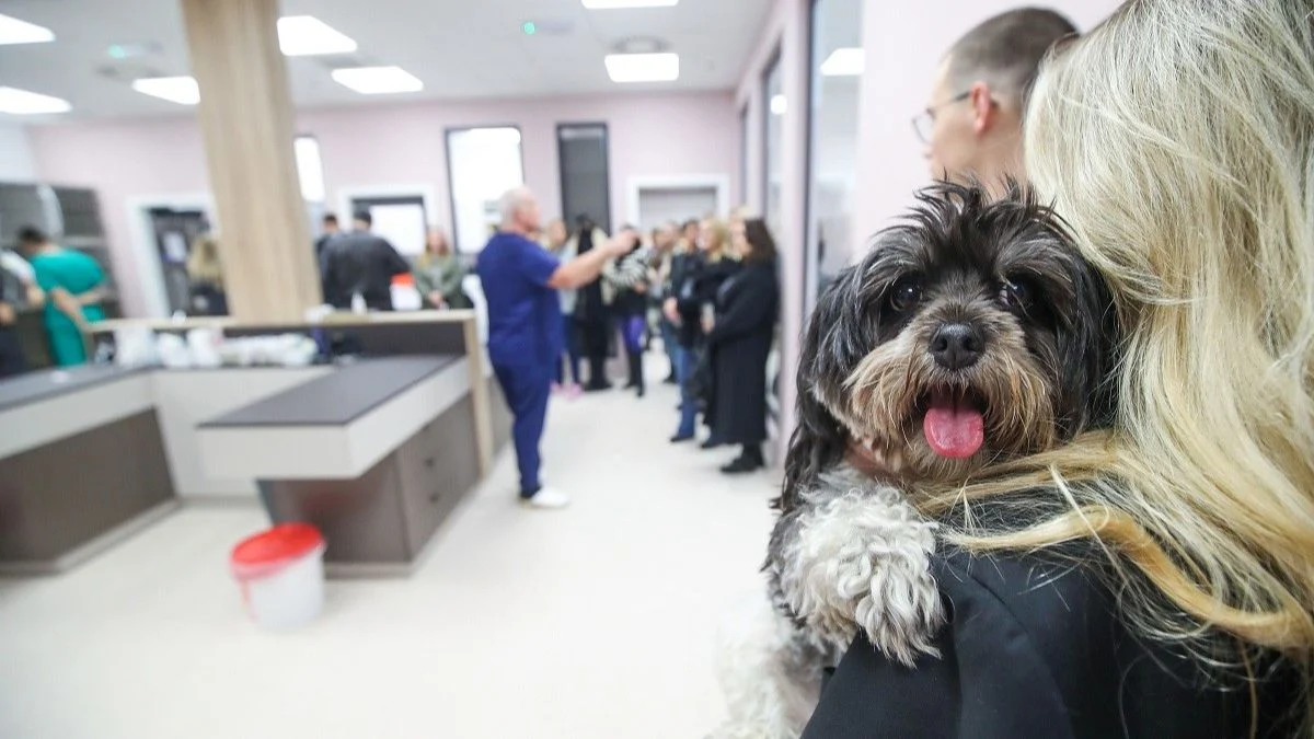 Zavirili smo u novootvorenu najveću privatnu veterinarsku kliniku Buba u Zagrebu
