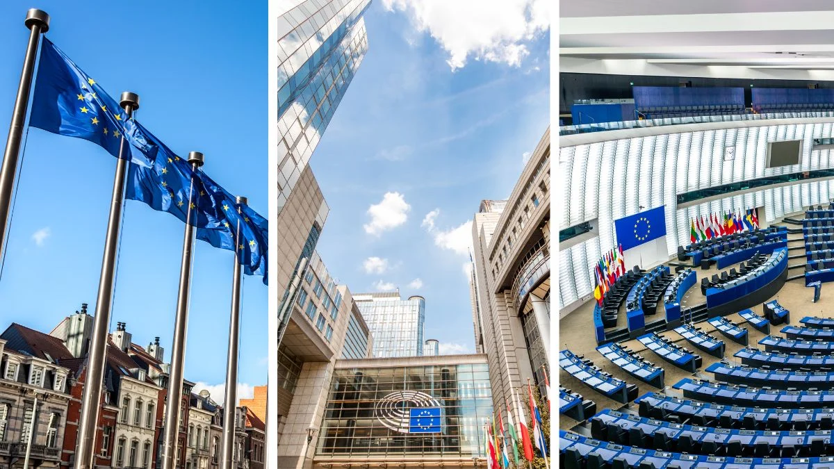 Ovo su teme koje imaju ključnu ulogu u tome kako glasati na europskim izborima