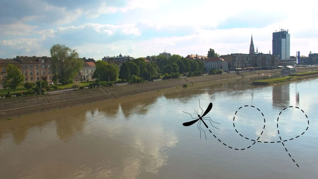 S kišom stigli i komarci. Kako ih se riješiti?