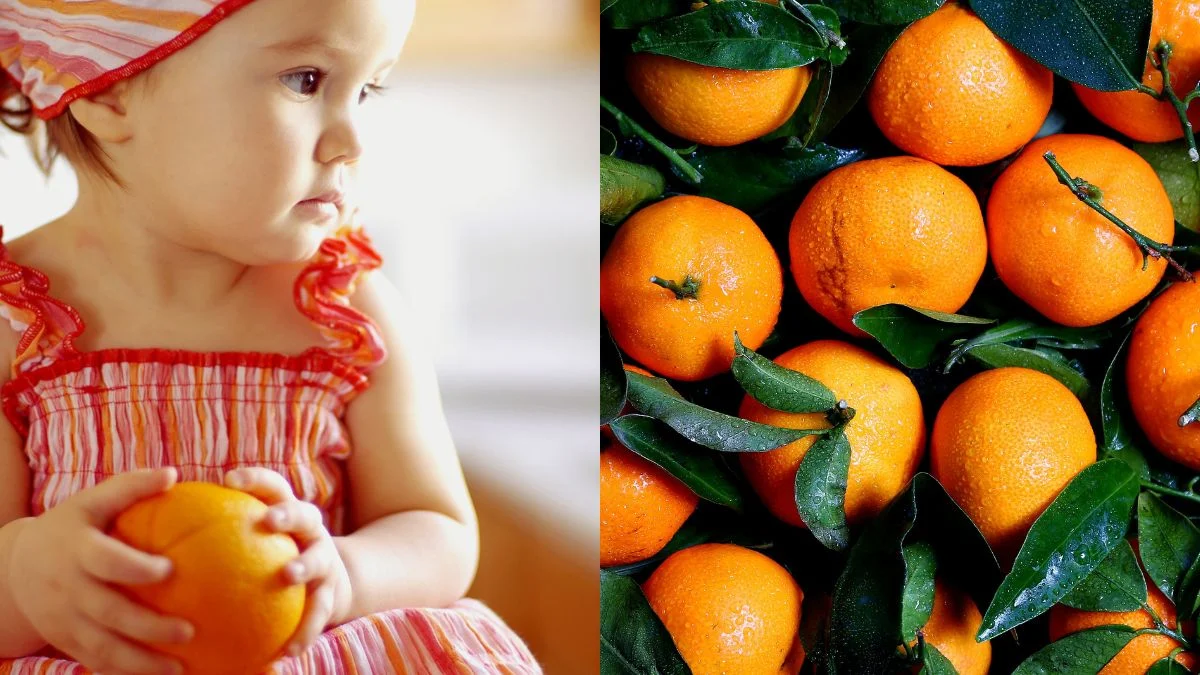 Sezona je naranči i mandarina – kad beba može početi jesti citrusno voće?