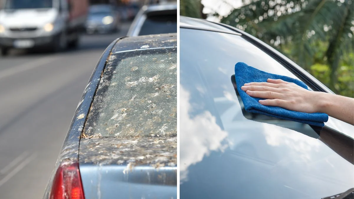 Ptičji izmet može vam uništiti boju: Evo kako ga pravilno očistiti s automobila