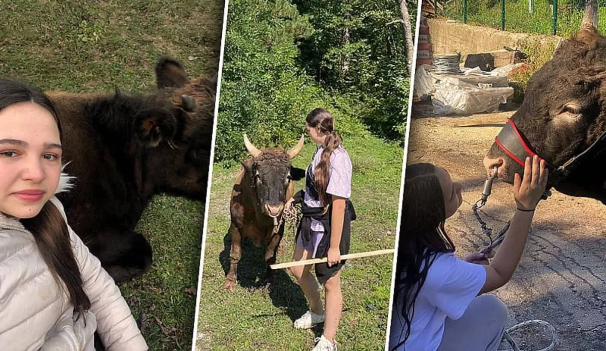 Amina Bjelić, 14-godišnja trenerica bikova koja ruši predrasude: Ljubav prema ovom poslu nema spol