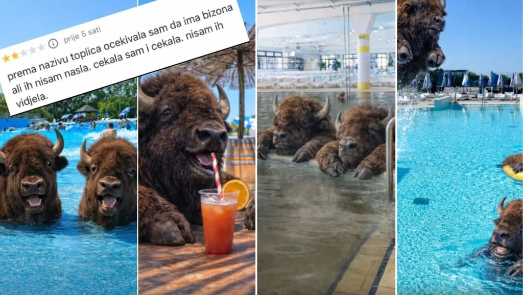 Kad loša ocjena postane najbolja reklama: Gdje su bizoni u Bizovačkim toplicama