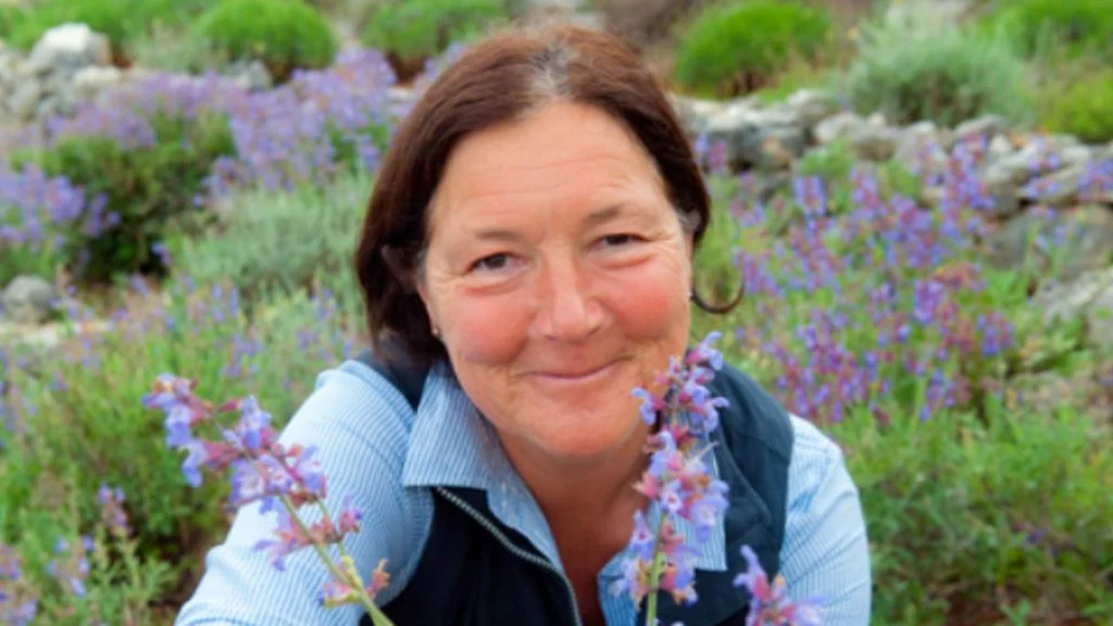sandra Nicolich