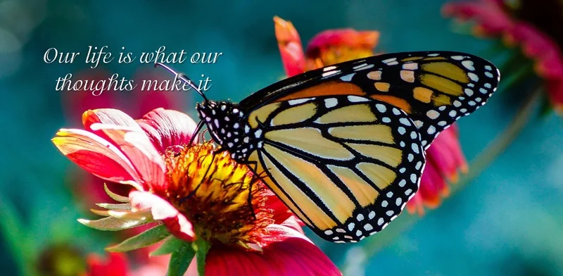 Heal_Your_life_promijenite_misli_zavolite_sebe
