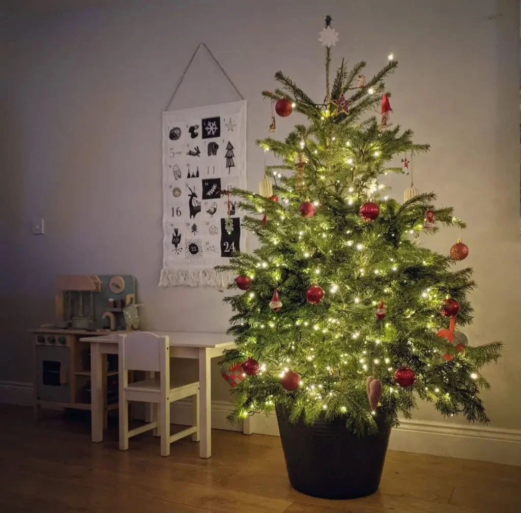 održiva božićna drvca