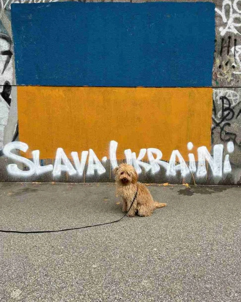 ukrajinke u Hrvatskoj